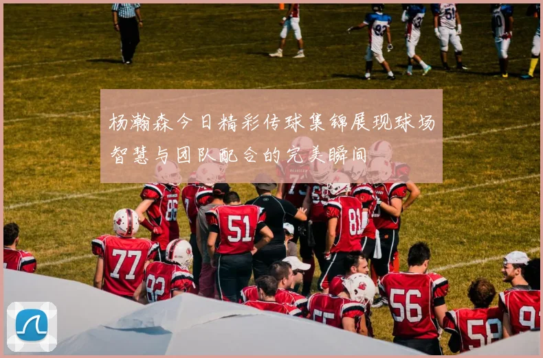 杨瀚森今日精彩传球集锦展现球场智慧与团队配合的完美瞬间