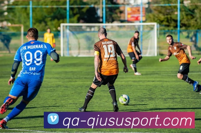 球速体育平台生态图